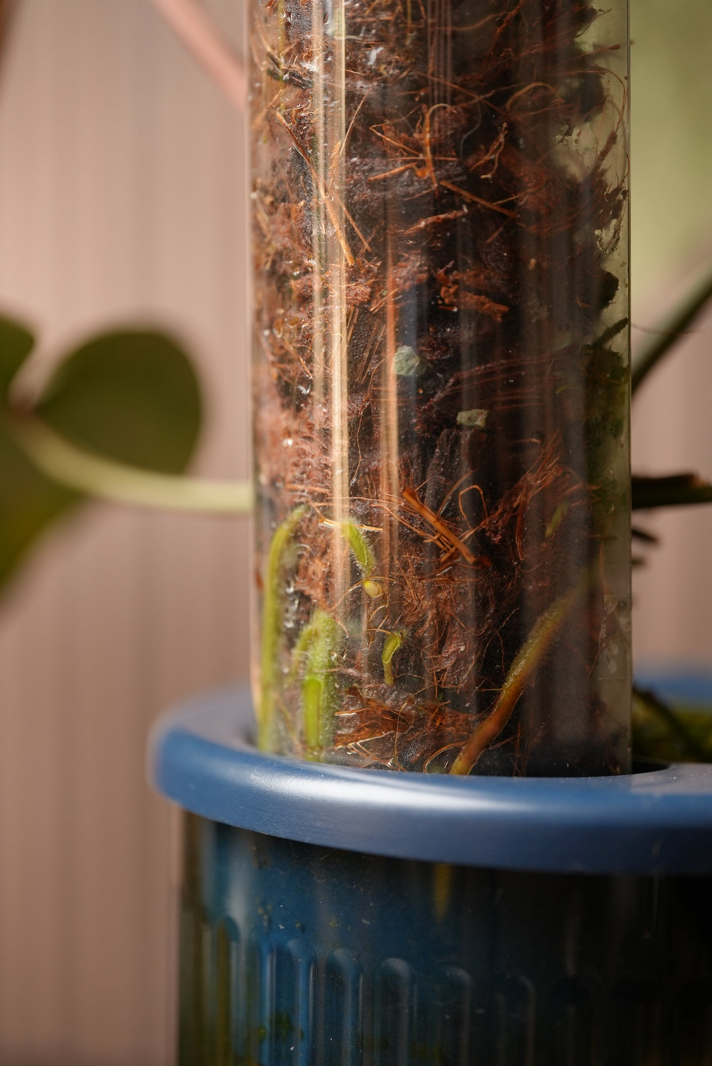 THICCLY GrowLid - Kratky Hydroponics Moss Pole System (Royal Blue)