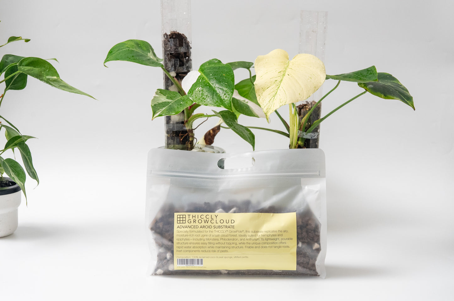 THICCLY GrowCloud Advanced Aroid Substrate with Perlite 3 Qts - Premium Sphagnum Moss Alternative GrowPoles
