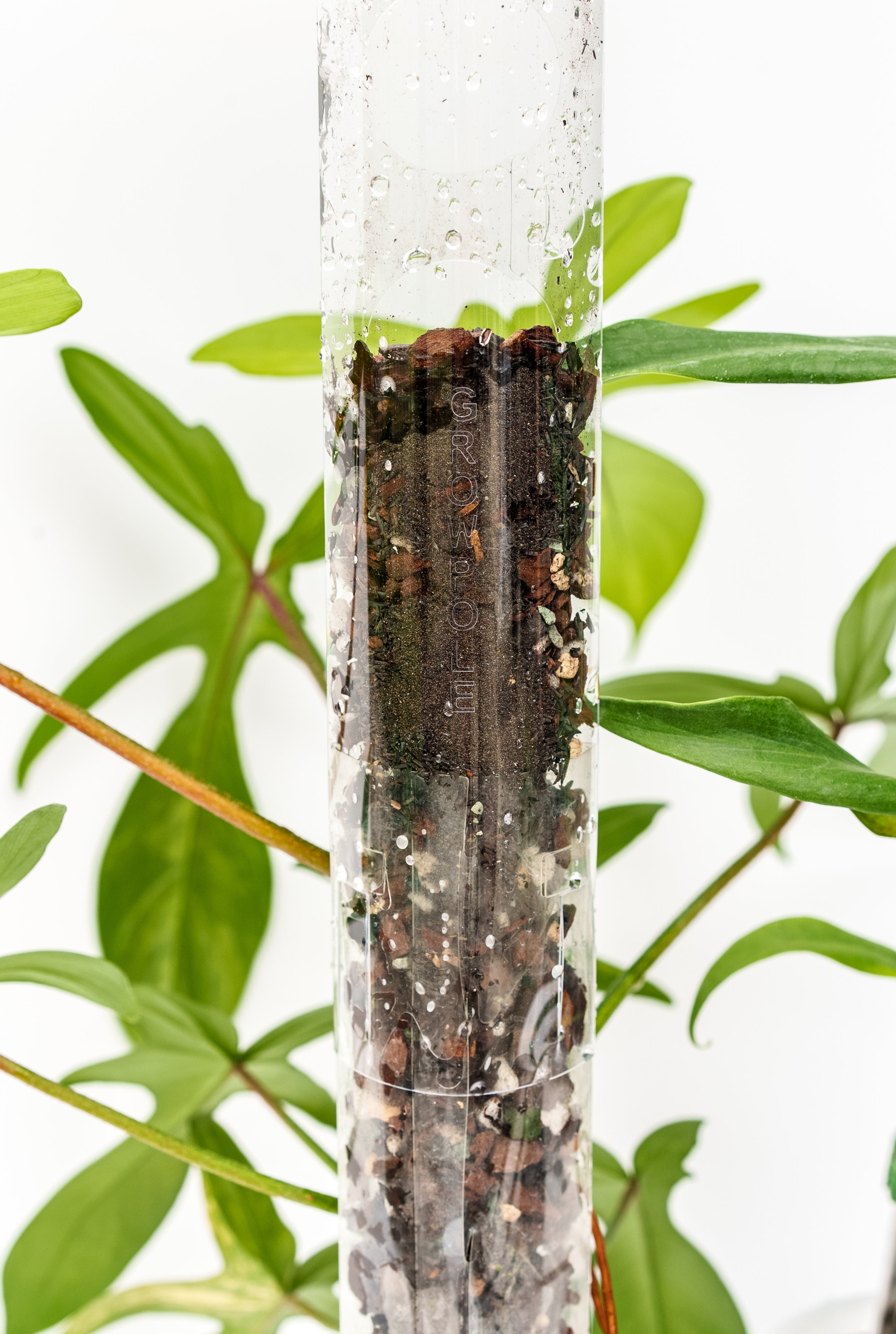 thiccly moss pole THICCLY V3 Small GrowPole